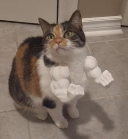 3D Printed Cat Hulk Arms