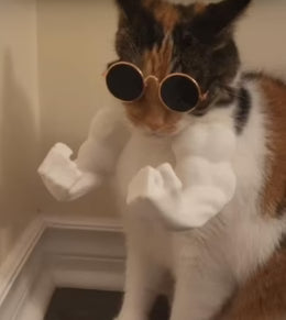 3D Printed Cat Hulk Arms